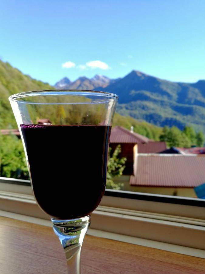 Фото Гостевого дома Гостевой Дом Родник Красная Поляна 43